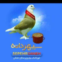 دانه گسترطاها گندم ارزن مرغ کبوتر|لوازم جانبی حیوانات|شیراز, پودنک|دیوار