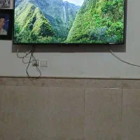 ال ای دی۵۵ اینچ تی سی ال|تلویزیون و پروژکتور|قم, انسجام|دیوار