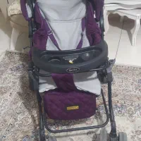 کالاسکه مارک دلیجان در حد نو