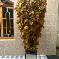 درخت میوه ای مصنوعی