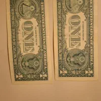 یک دلاری ۲ عدد