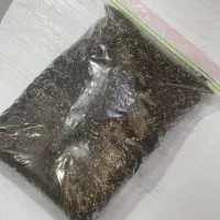 خاک تفاله قهوه گلدان