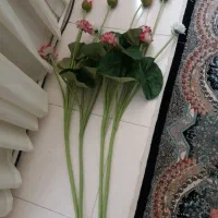 گل و گلدان