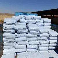 ذرت علوفه ای