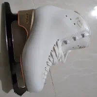 کفش حرفه‌ای پاتیناژ edea overture