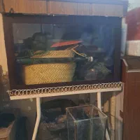 اکواریوم باپایه وکلبه