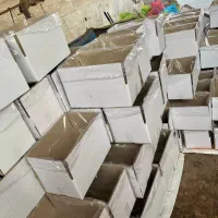 کشمش تاک|خوردنی و آشامیدنی|کاشمر, |دیوار