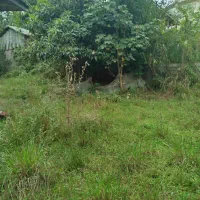 950متر خانه محوطه روستای لپوندان|فروش زمین و ملک کلنگی|احمدسرگوراب, |دیوار