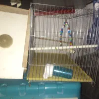 وسایل منزل برای پسند کردن تماس یا پیام دهید|حراج|سهند, |دیوار