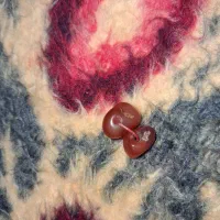 مهره های دوقلو با خاصیت جادویی|جواهرات|بندر گناوه, |دیوار