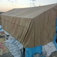چادر|کوهنوردی و کمپینگ|دزفول, |دیوار