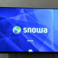 تلویزیون اسنوا ۴۳ اینچ