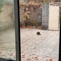 فروش خانه ویلایی