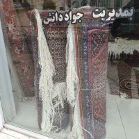 انواع فرش دستبافت|فرش|اردبیل, |دیوار