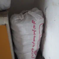 نان خشک بربری بدون کپک