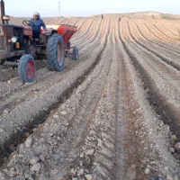 کودپاش کودریز زلپاش گوجه هندوانه کدو کود مرغ|خدمات باغبانی و درختکاری|شوشتر, |دیوار