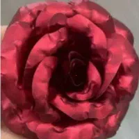 گل های هولوگرامی