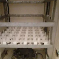 دستگاه جوجه کشی|لوازم جانبی حیوانات|فردوس (خراسان), |دیوار