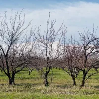 زمین  مسکونی دیزج مرگور