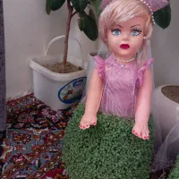 سبزه طبیعی|گل و گیاه طبیعی|بروجرد, |دیوار