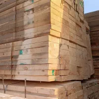 پخش تخته برگه سبز روسیه ای بنایی gبشکه