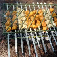 (استند کبابی )