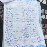 سمند ef7 دوگانه کارخونه|خودرو سواری و وانت|شیراز, دکتر حسابی|دیوار