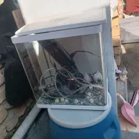 آکواریوم با وسایل کامل