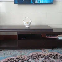 زیر تلوزیونی