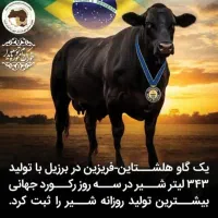 جو‌‌خارجی