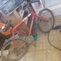 دوچرخه ۲۶|دوچرخه، اسکیت، اسکوتر|کرج, پیشاهنگی|دیوار
