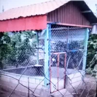 آلاچیق تقریبا 12