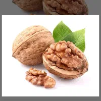 خریدار گردو