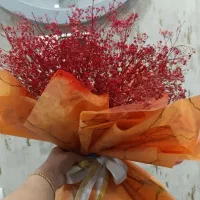 گل عروس نارنجی