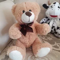 عروسک درحدنو|اسباب‌‌بازی|تربت‌حیدریه, منصوریه|دیوار