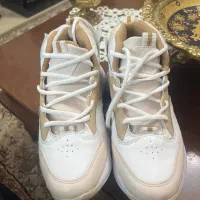 کتونی سایز۴۲|کیف، کفش، کمربند|پرند, فاز ۶|دیوار