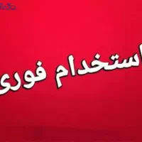 همکاری جهت مونتاژ اسباب بازی