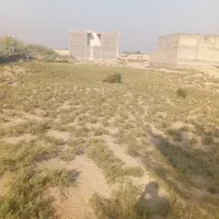 زمین مسکونی در ویس