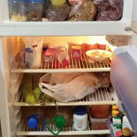 یخچال|یخچال و فریزر|شیراز, بالا کفت|دیوار