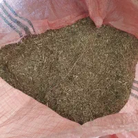 خار|لوازم جانبی حیوانات|انبارآلوم, |دیوار