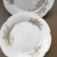 میوه خوری شیرینی خوری وبرنج خوری چینی|ظروف سرو و پذیرایی|سنندج, |دیوار