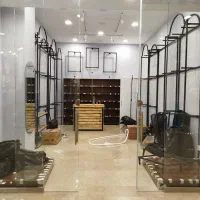 ققفسه و زیر مانکنی