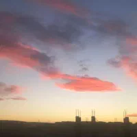 یک گلاده سگ پا کوتاه پیدا شده