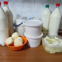 برنج هاشمی