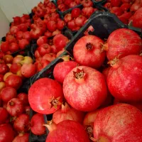 از تولید به مصرف