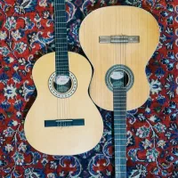 آموزش موسیقی ایرانی و کلاسیک خارجی