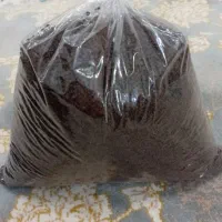 چای کله مورچه