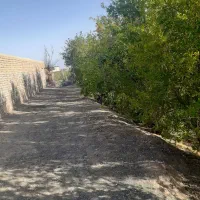 فروش-فوری-باغ-انار-با-یک-ساعت-مدار-آب