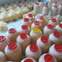 پخش روغن زرد گاوی و گوسفندی