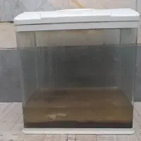 آکواریوم آکوا ۵۰ لیتری